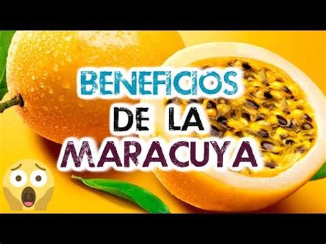 Origen De La Fruta Maracuy Descubre De D Nde Proviene Esta Deliciosa