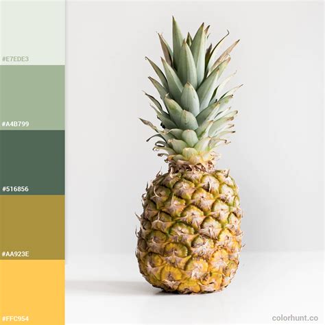 Pin By Marissa Barletta On Bedroom Color Schemes Color Palette