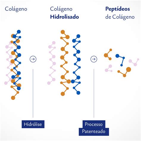 Diferença entre colágeno hidrolisado peptídeos de colágeno e Verisol