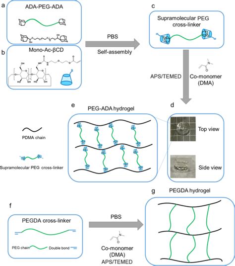 Supramolecular Hydrogels Cross Linked By Preassembled Hostguest Peg