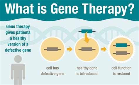 Fluorescence Guided Suicide Gene Delivery Mybiosource Learning Center