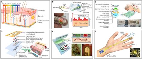 Flexible Electronics For Cardiovascular Healthcare Monitoring The