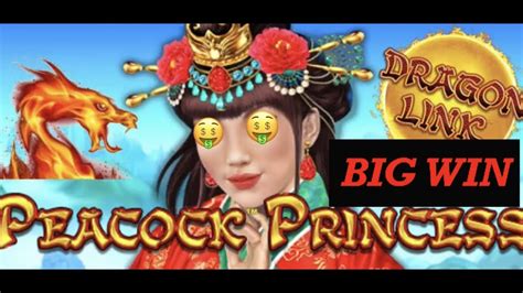 Dragon Link Peacock Princess Big Win Pokie Wins Slot Machine Youtube