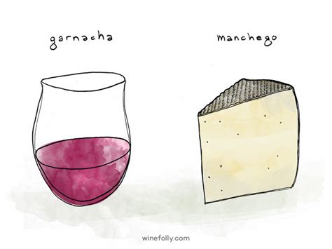 Wine and Cheese Pairing Ideas | Wine Folly