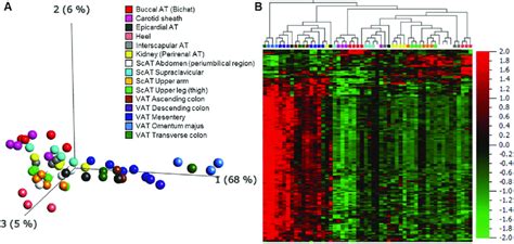 Adipose Tissue Depot Specific Gene Expression Signatures Principal