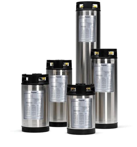 ion exchange stainless steel cartridge thermo