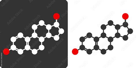 Estrogen Estradiol Female Sex Hormone Molecule Flat Icon Style