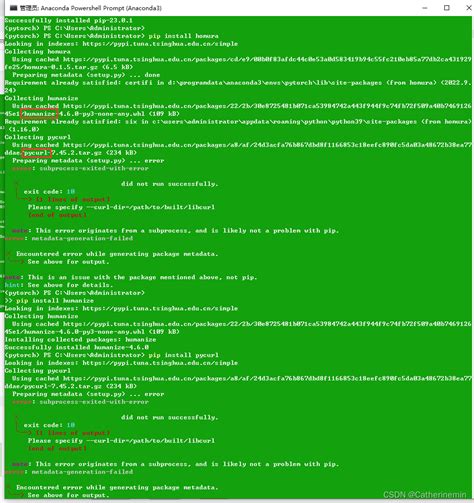 安装homura报错解决办法：preparing Metadata Setup Py Error Error