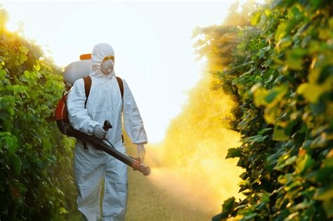 Glifosato el herbicida más polémico qué es