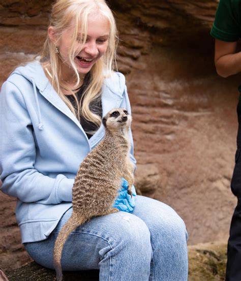 London Zoo Experiences | London Zoo