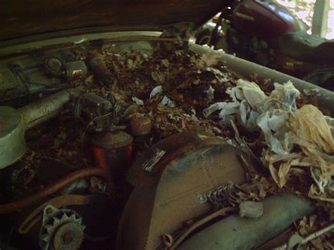 Hot Rods Parts In The Trunk The H A M B