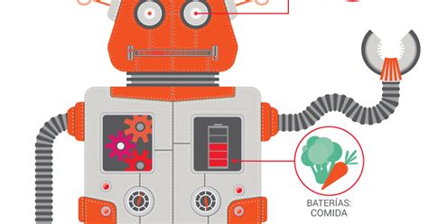 Todo Sobre La Robotica Partes Del Robot