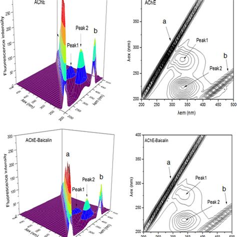 Three Dimensional Fluorescence Spectra Of A And Contour Spectra B