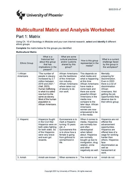 Soc V Wk Multicultural Matrix And Analysis Worksheet Soc V