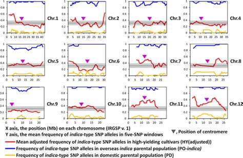 Snp Allele Frequency Of Indica Type In A Japanese High Yielding Rice