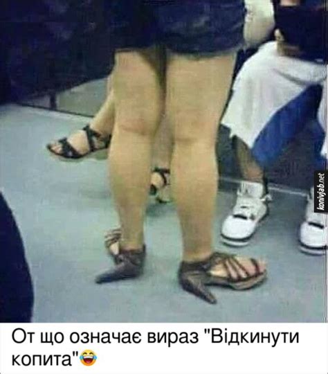 Приколи про одяг та взуття - Коні в яблуках. Гумор для дорослих | Funny ...