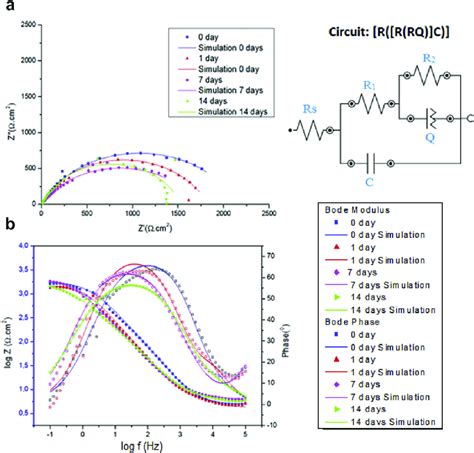 Nyquist A And Bode B Impedance Plots For Aisi Carbon Steel