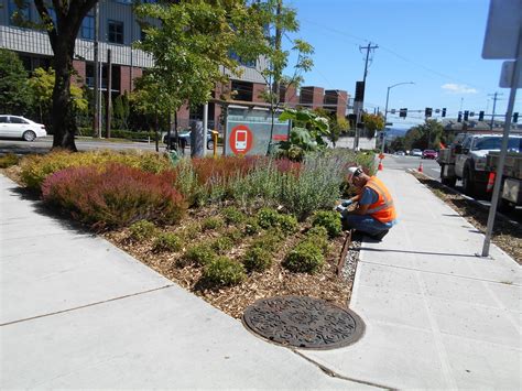 Saving water with a smart irrigation system | Technology in Action