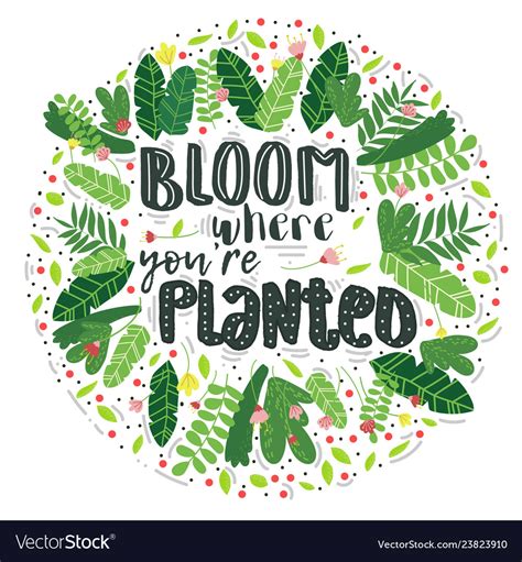 Lettering Bloom Where You Are Planted Decor Vector Image