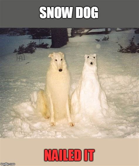 snow dog - Imgflip