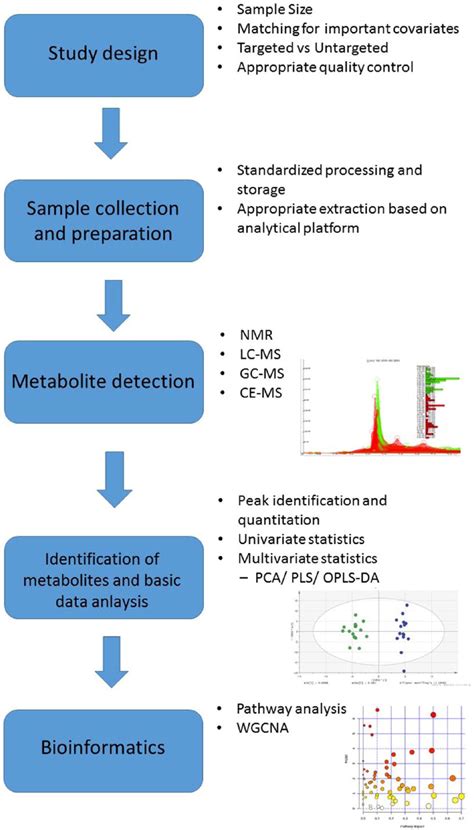 Recent Developments Along The Analytical Process For Off