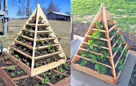 These Diy Pyramid Planters Lets You Grow Strawberries In The Coolest Way Possible