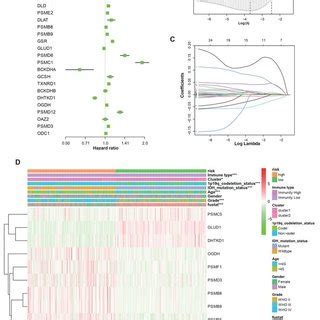 Identication Of 12 Gene Risk Signature For OS By LASSO Regression