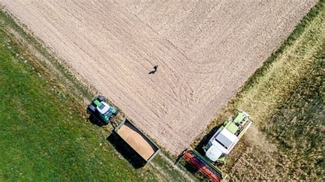 Ernteausfälle Und Notschlachtungen Trockenheit Belastet Deutsche