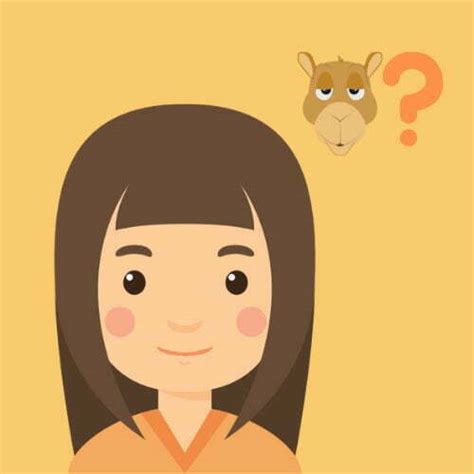🐪 Melhor Calculadora de Camelos para Mulheres Online!