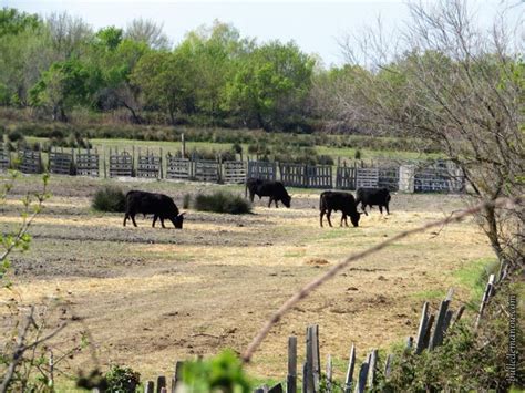 Autour Du Marais Du Cougourlier Les Animaux D Levage Balade