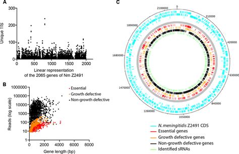 Characterization Of The Transposon Mutant Libraries A Distribution