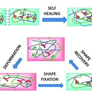 Schematic Representation Of A Self Healing And B Shape Memory