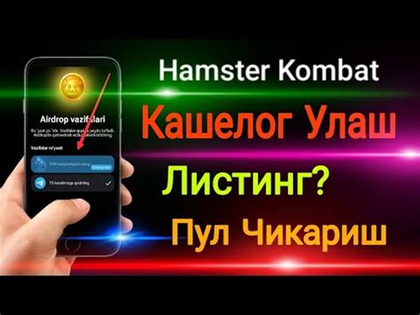 Hamster Kombat Kashelog Ulash Pul Chiqarish Ohirgi Malumotlar