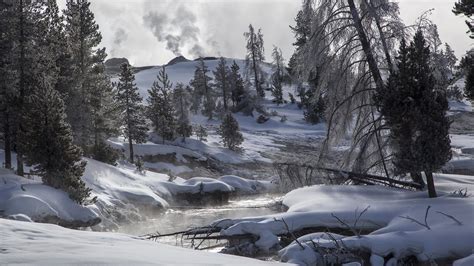 Yellowstone National Park Theme for Windows 10 & 11