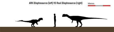 Dilophosaurus (Dilophosaurus Wetherilli) Dimensions, 46% OFF