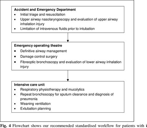 PDF Airway Management In Inhalation Injury A Case Series Semantic