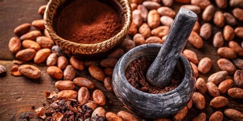 Cacao Concepto Origen Historia Y Propiedades