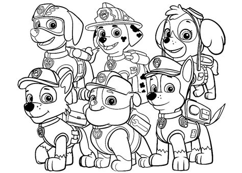 Paw patrol | Paw patrol coloring pages, Coloring pages, Paw patrol coloring