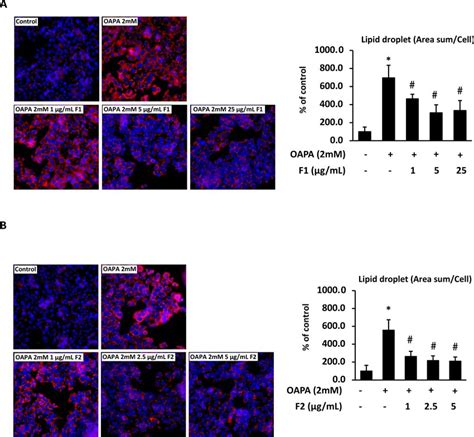 Effect Of Ae On Attenuating Hepatic Lipid Accumulation Hepg2 Cells