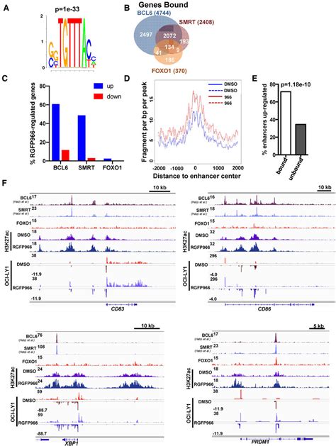 Hdac3 Associates With And Regulates A Subset Of Bcl6foxo1 Gene Download Scientific Diagram