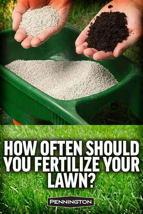 Apply Fertilizer To Your Lawn In The Fall