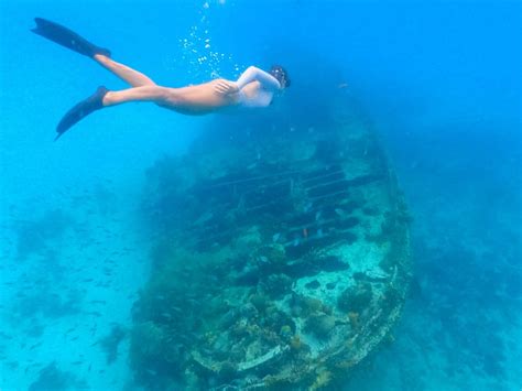 Snorkeling in Barbados | Best Beaches to Snorkel in Barbados – Explore ...