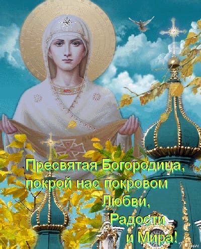 Светлана Сигарёва, Воронеж, Россия, место жительства, аккаунт ВКонтакте