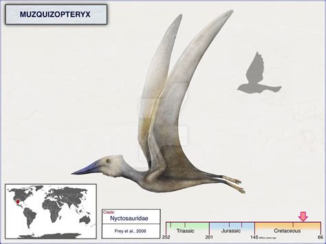 Muzquizopteryx By Cisiopurple On Deviantart