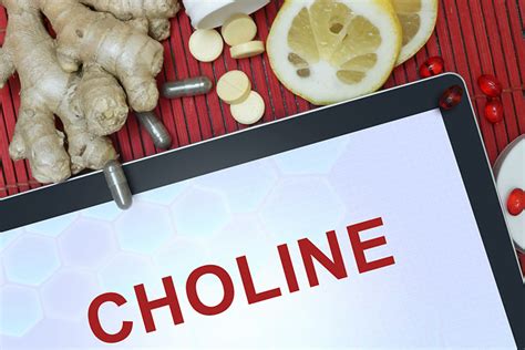 Choline Supplements For Dogs | Dog Training Nation