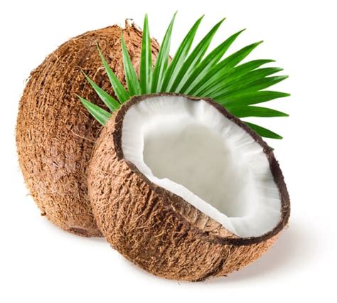 Tout Savoir Sur La Noix De Coco