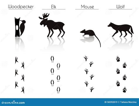 Set Of Black Forest Animals And Birds Silhouettes: Woodpecker, E Royalty-Free Stock Photo ...