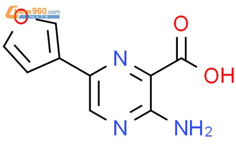 Amino Furan Yl Pyrazine Carboxylic Acid