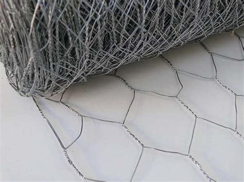 Galvanized Chicken Wire Mesh Galvanized Poultry Netting