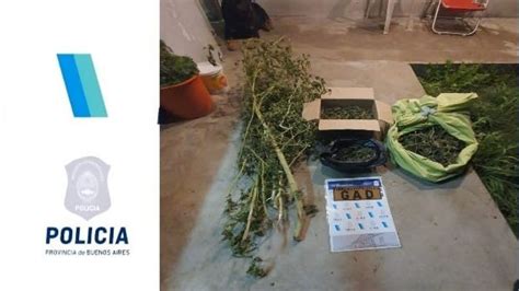 Secuestran Seis Kilos De Marihuana Y Medio Mill N De Pesos En Allanamiento